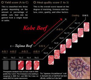 kobe-grading-system-and-seal1-300x263