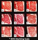 usa-beef-marbling-chart