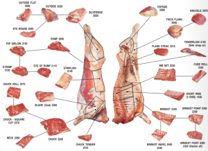 Beef Meat Primal Cuts Diagram Ask John The Butcher,Best Emergency Food Rations