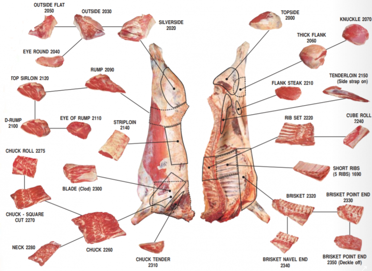 Beef Meat Primal Cuts Diagram Ask John The Butcher