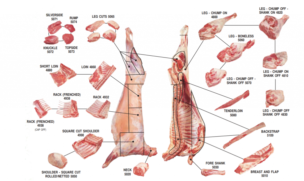 Lamb Primal Cuts. Lamb Cuts Chart - Ask John The Butcher